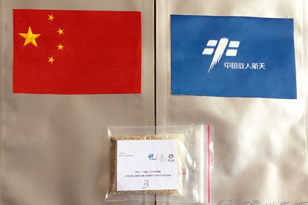 祝賀神舟十一號載人飛船發(fā)射成功！瀘州老窖的窖泥和酒曲也跟著上太空啦